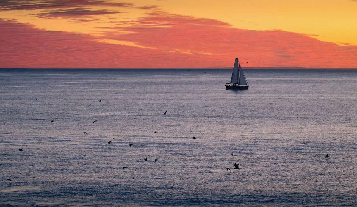 A sailboat and scattered seabirds beneath a vivid orange and coral sunset over the Pacific Ocean.