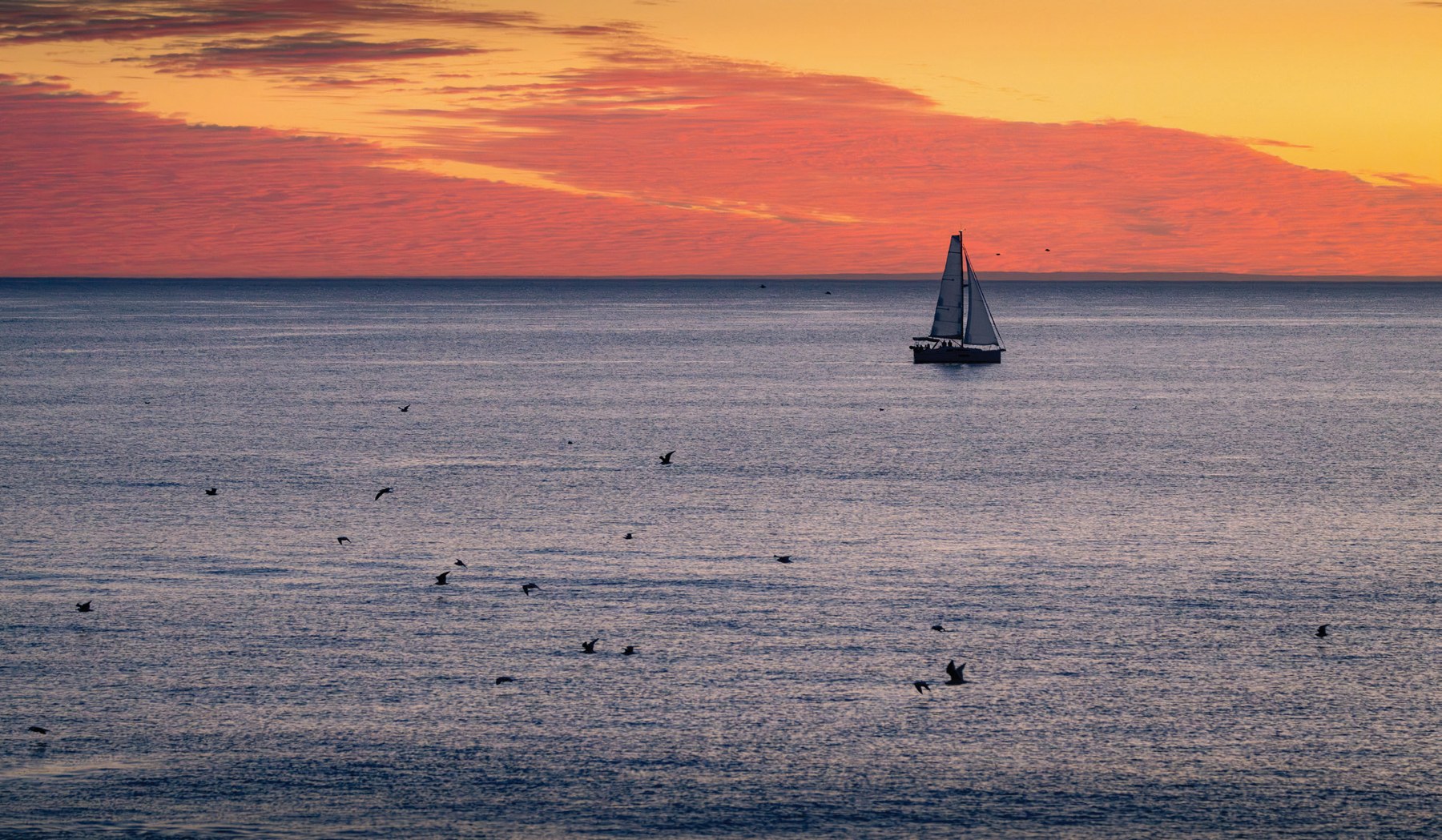 A sailboat and scattered seabirds beneath a vivid orange and coral sunset over the Pacific Ocean.