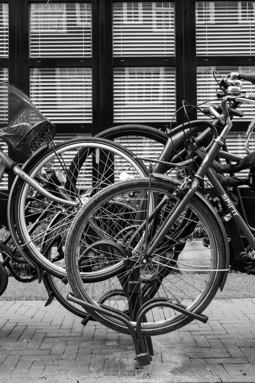 Street photograph from the full Wander Like a Human collection.
