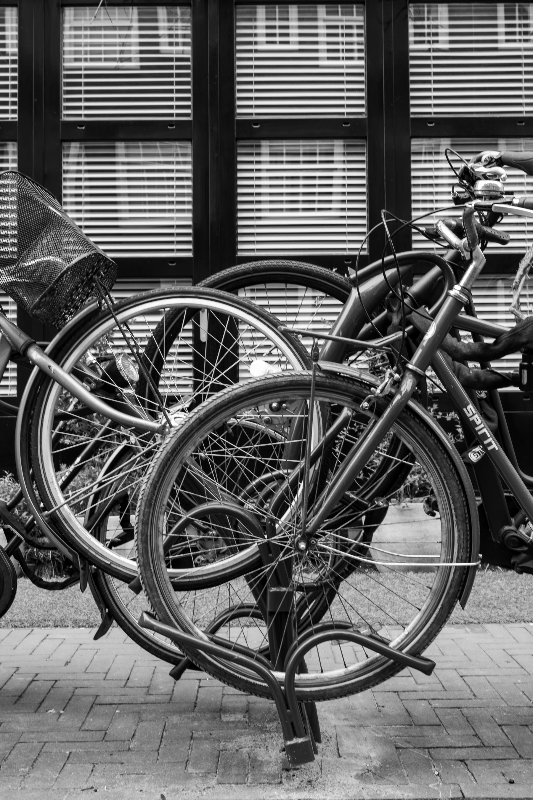 Street photograph from the full Wander Like a Human collection.